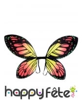 Paire d'ailes de papillon coloré pour enfant