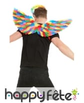 Paire d'ailes GayPride avec plumes, 80cm, image 1