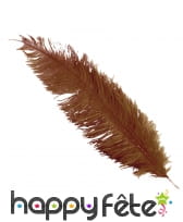 Plume d'autruche marron