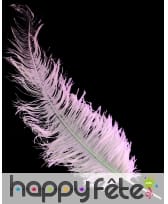 Plume d'autruche rose