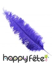 Plume d'autruche violette