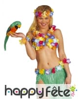 Perroquet d'épaule décoratif, image 1