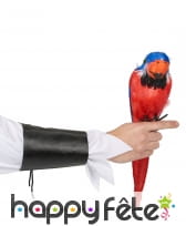 Perroquet d'épaule décoratif