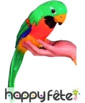 Perroquet décoration exotique