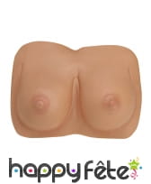 Paire de faux seins en plastique