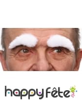 Paire de sourcils blancs
