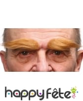 Paire de sourcils blonds