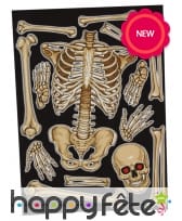 Planche de stickers squelette, 30 x 40 cm