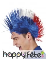 Perruque France punk