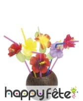 Paille hawaienne fleurs