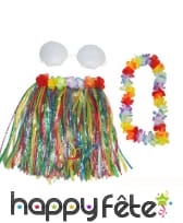 Pagne mi-long, collier et soutien-gorge hawaïen, image 1