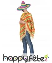 Poncho mexicain rayures piments pour adulte, image 1