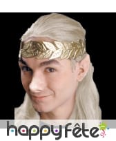 Petites Oreilles d'elfe en latex