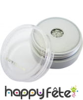 Poudre satinée argentée