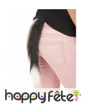 Queue de chat blanche et noire, image 1