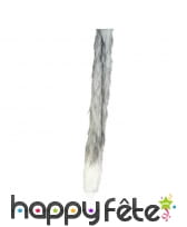 Queue grise de loup bout blanc