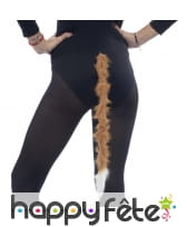 Queue marron de lion, bout blanc