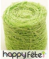 Ruban abaca vert menthe, 5m