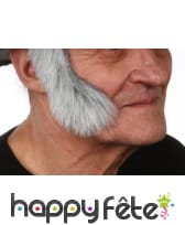 Rouflaquettes grises