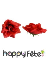 Rose rouge sans épingle