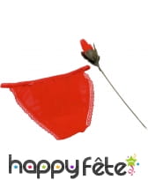 Rose slip rouge