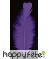 Sachet 100 plumes blanches pied plat 15 cm, image 1