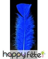Sachet 50 plumes bleues pied plat 10 cm