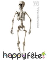 Squelette articule 3d