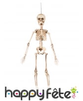 Squelette articulée de 50cm, image 1