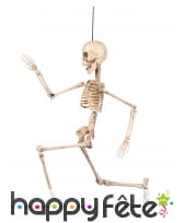 Squelette articulée de 50cm, image 2