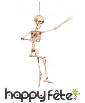 Squelette articulée de 50cm, image 3