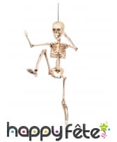 Squelette articulée de 50cm