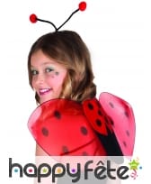 Set coccinelle avec ailes et serre tete, image 2