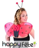 Set coccinelle avec ailes et serre tete