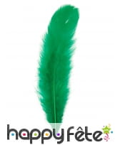 Sachet de 100 plumettes de 10 à 17cm, image 6