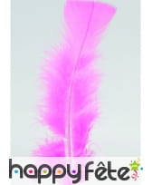 Sachet de 100 plumettes de 10 à 17cm, image 7