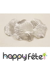 Sachet de 50 pétales argentés