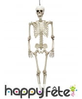 Squelette de 90 cm en plastique