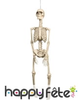 Squelette de 95x21cm à suspendre