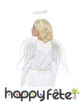 Set d'ange blanc, ailes et accessoires