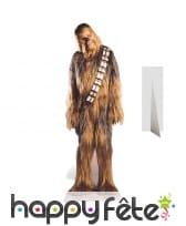 Silhouette de Chewbacca taille réelle