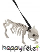 Squelette de chien lumineux et sonore