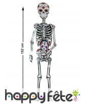 Squelette Dia de los muertos en carton de 1,52m, image 1