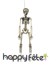 Squelette doré de 42 cm à suspendre