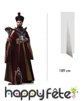 Silhouette de Jaffar Aladdin le film taille réelle