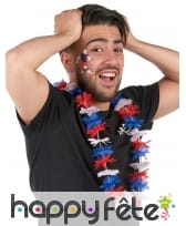 Set de maquillage pour supporter Francais, image 1