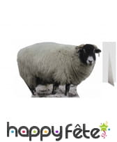 Silhouette de mouton en carton, taille réelle