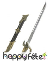 Sabre de pirate droit avec étui