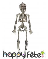 Suspension de petit squelette, 30 cm