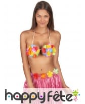 Soutie-gorge hawaïen, image 1